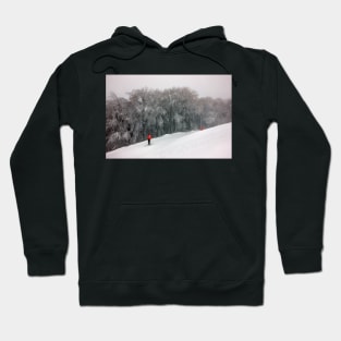 There goes the old year (here comes the new one) Hoodie